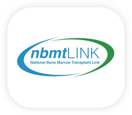 nbmtLINK logo